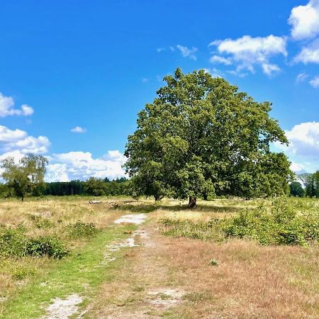 Buitenlust In Het Bos Зюдларен Экстерьер фото