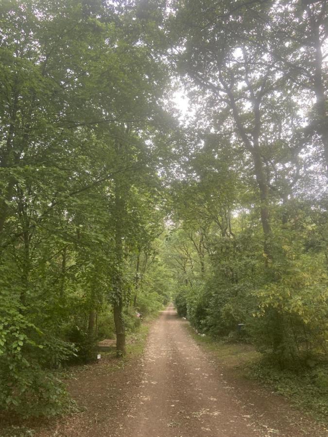 Buitenlust In Het Bos Зюдларен Экстерьер фото