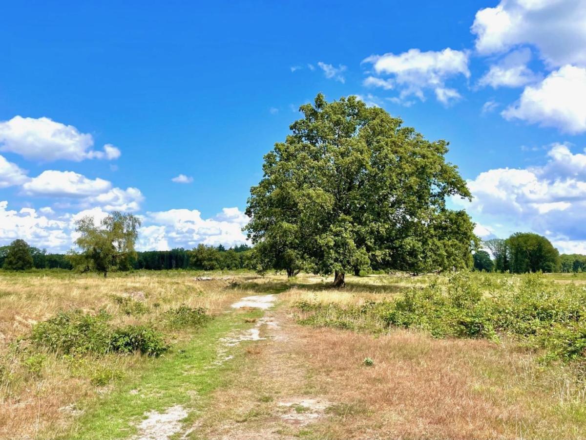 Buitenlust In Het Bos Зюдларен Экстерьер фото